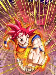 Super Saiyan God Goku