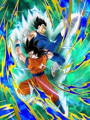 Goku & Vegeta