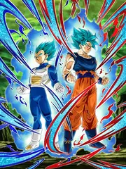 Super Saiyan God SS Goku &
Super Saiyan God SS Vegeta