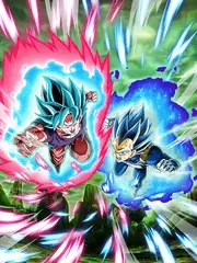 Super Saiyan God SS Goku (Kaioken) &
Super Saiyan God SS Evolved Vegeta