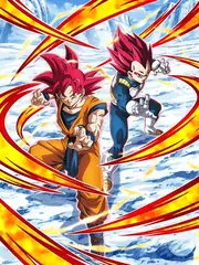Super Saiyan God Goku & 
Super Saiyan God Vegeta