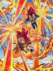 Super Saiyan God Goku & 
Super Saiyan God Vegeta