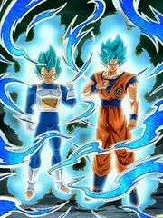 Super Saiyan God SS Goku & 
Super Saiyan God SS Vegeta