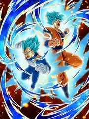 Super Saiyan God SS Goku & 
Super Saiyan God SS Vegeta