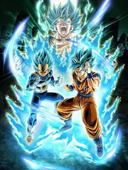Super Saiyan God SS Goku & 
Super Saiyan God SS Vegeta