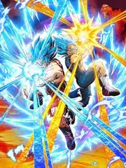 Super Saiyan God SS Goku & 
Super Saiyan God SS Vegeta