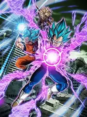 Super Saiyan God SS Vegeta +
Super Saiyan God SS Goku