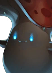 Pooki's Shadow